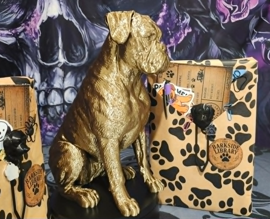6a09ab65e1092d156f444602_barkside-boxer-1_1786154408054.png