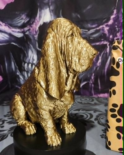 6a09ab65e1092d156f444602_barkside-basset-2_1786133653368.png