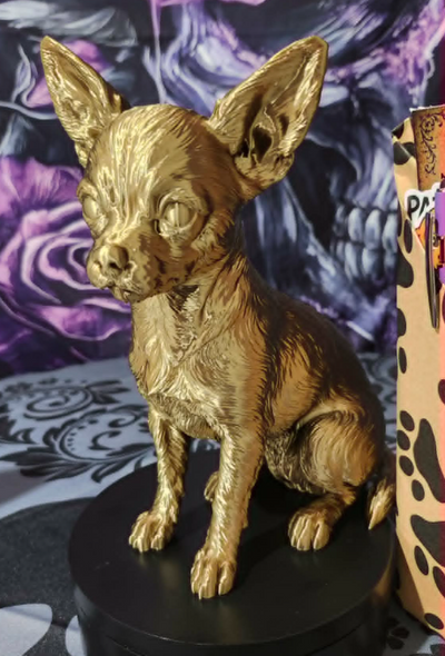 6a09ab65e1092d156f444602_barkside-chih-2_1786033706402.png