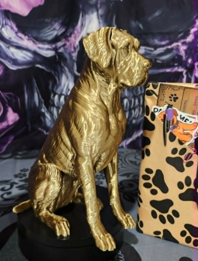 6a09ab65e1092d156f444602_barkside-dane-2_1786153885351.png