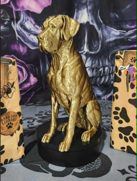 6a09ab65e1092d156f444602_barkside-dane-3_1786153891302.png