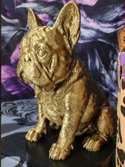 6a09ab65e1092d156f444602_barkside-frenchie-2_1786034532414.png