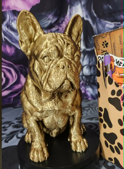 6a09ab65e1092d156f444602_barkside-frenchie-3_1786034538465.png