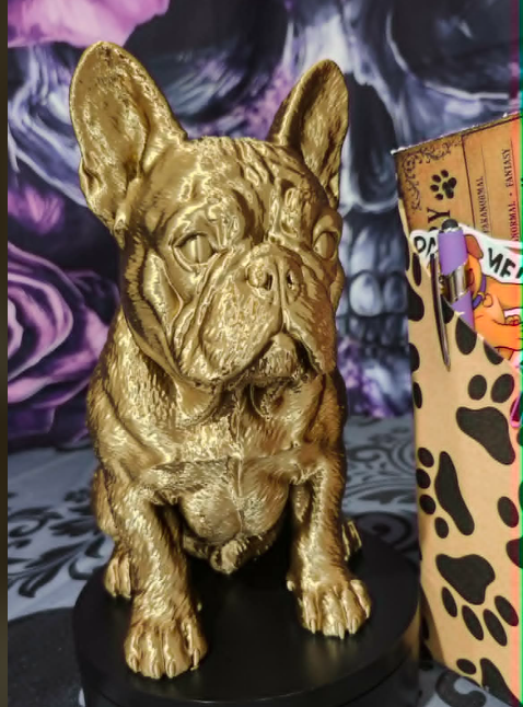 6a09ab65e1092d156f444602_barkside-frenchie-3_1786034538465.png