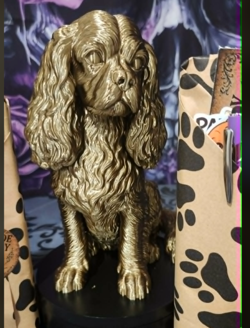 6a09ab65e1092d156f444602_barkside-king-3_1786133428069.png