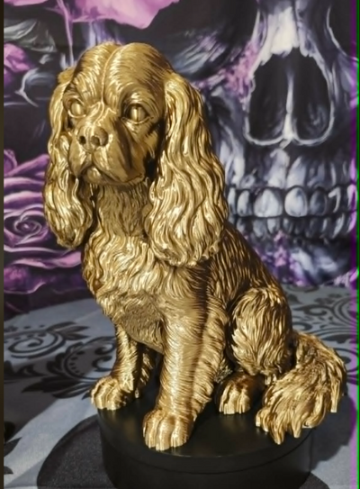 6a09ab65e1092d156f444602_barkside-king-4_1786133434119.png