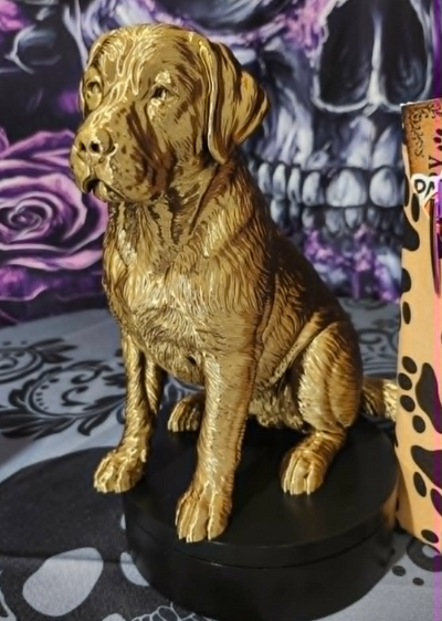 6a09ab65e1092d156f444602_barkside-lab-2_1786034769266.png