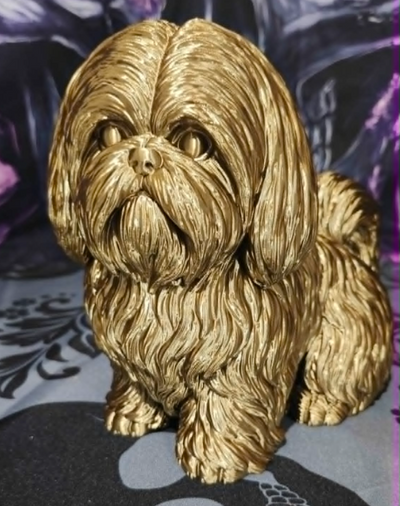 6a09ab65e1092d156f444602_barkside-shih-tzu-2_1785952706079.png