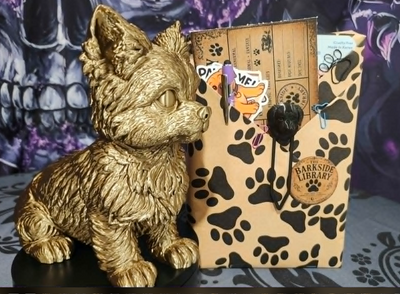 6a09ab65e1092d156f444602_barkside-yorkie-2_1786033899404.png