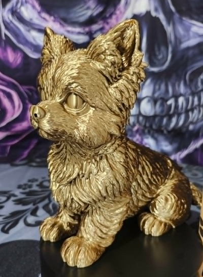 6a09ab65e1092d156f444602_barkside-yorkie-3_1786033907120.png